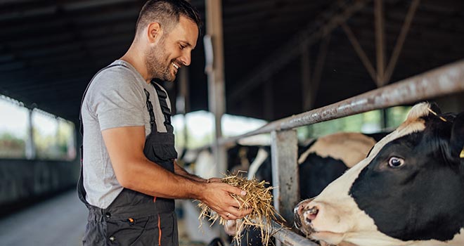 Nova Premix Compléments Minéraux Vitaminés