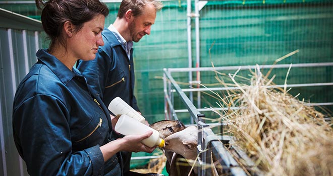 Nova Premix expertise industrielle