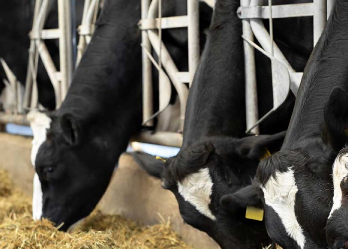 hub expertise industrielle